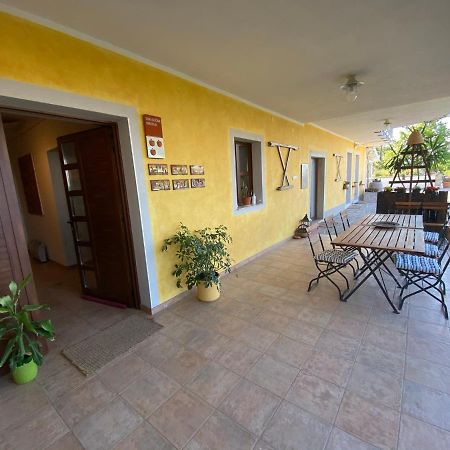 Med Oljkami Apartment Koper Dış mekan fotoğraf