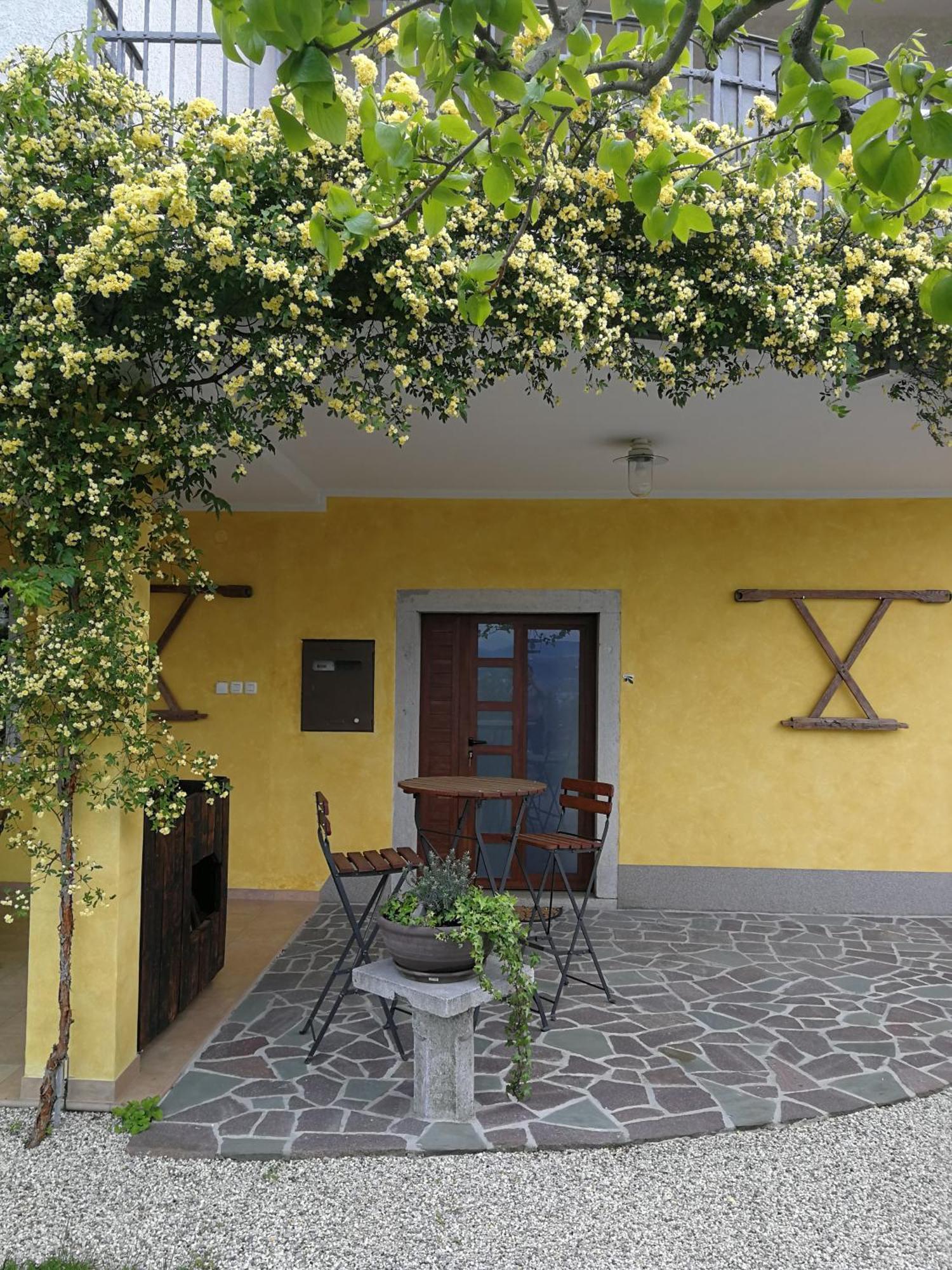 Med Oljkami Apartment Koper Dış mekan fotoğraf