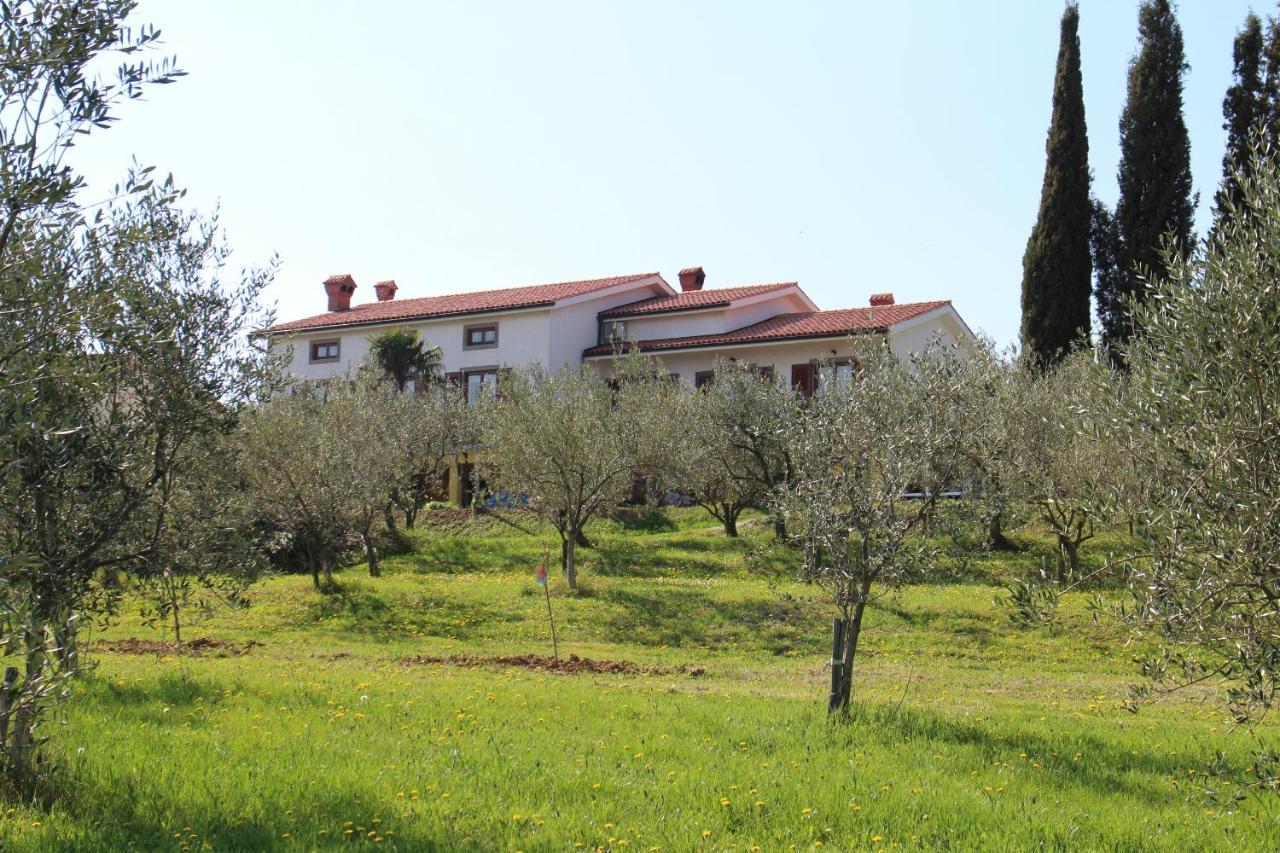 Med Oljkami Apartment Koper Dış mekan fotoğraf