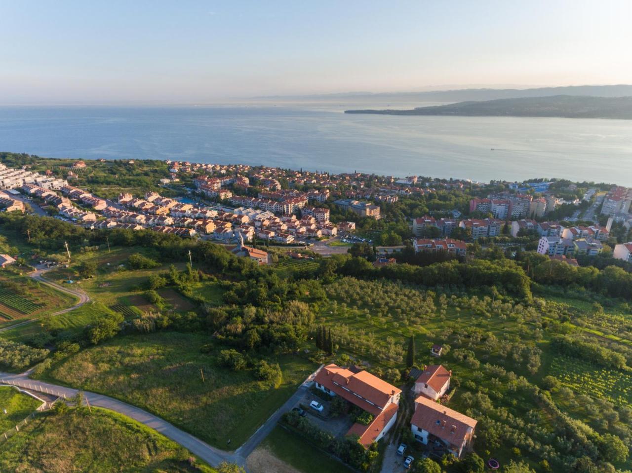 Med Oljkami Apartment Koper Dış mekan fotoğraf